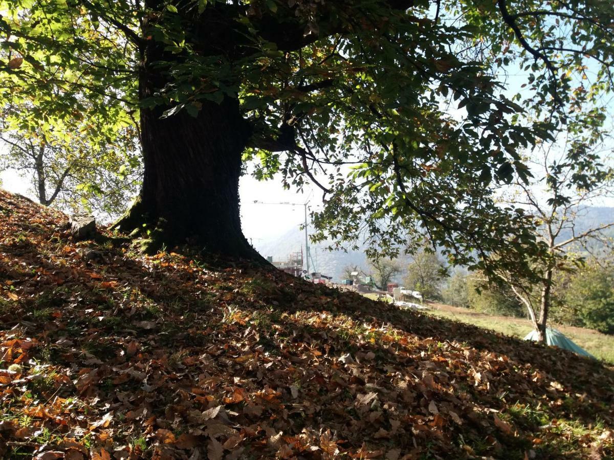 Agriturismo Piane Ono Degno 外观 照片